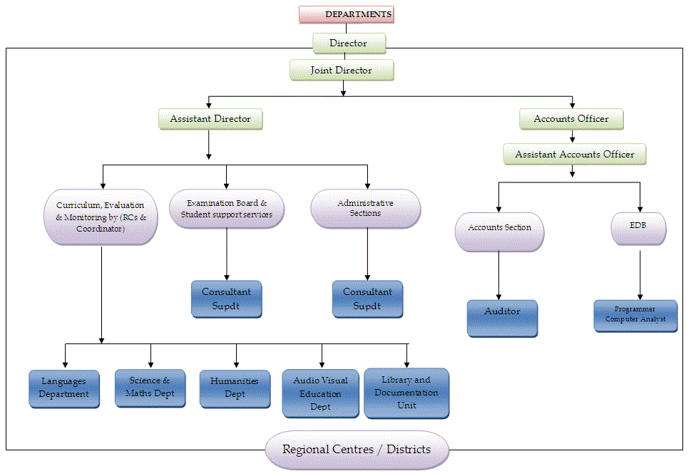 Department Structure